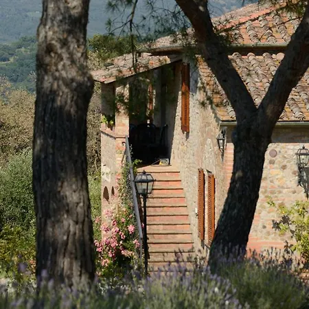 Appartement Sigliano Sleeps 4 Pool Wifi T763178 San Litardo