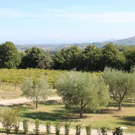 Apartamento Sigliano Sleeps 4 Pool Wifi T763178