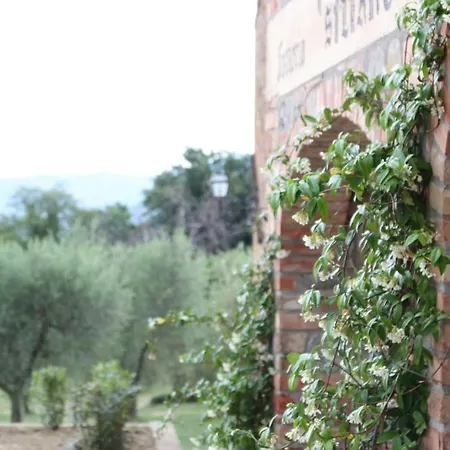 Sigliano Sleeps 4 Pool Wifi T763178 Appartement